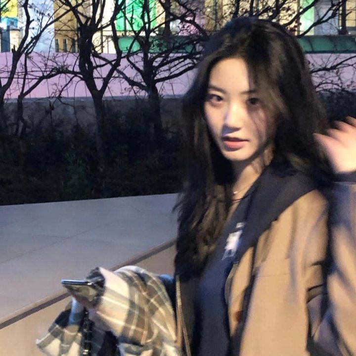 致我亲爱的马切洛