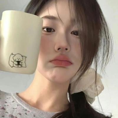 双子座计划