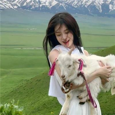 历险小恐龙